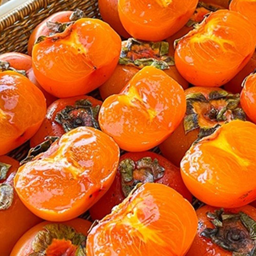[청년농가] 햇 청도 반시 홍시 1.5kg (후숙필수)